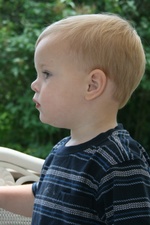 Enlarge photo 110