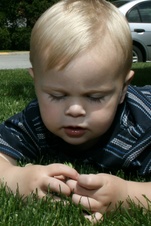 Enlarge photo 88