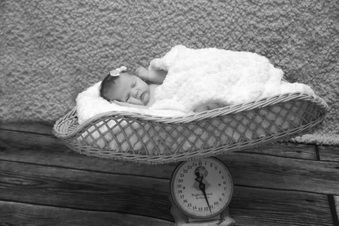 Enlarge photo 78