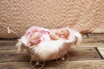 Enlarge photo 102