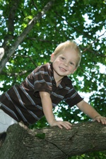 Enlarge photo 195