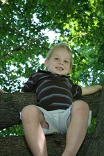 Enlarge photo 208