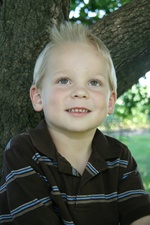 Enlarge photo 181
