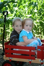 Enlarge photo 118