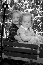 Enlarge photo 117
