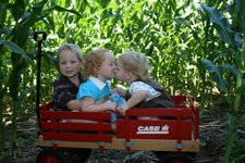 Enlarge photo 110