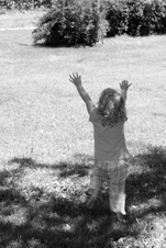 Enlarge photo 84