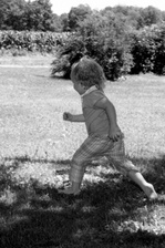 Enlarge photo 64