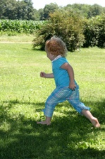 Enlarge photo 61