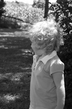 Enlarge photo 60
