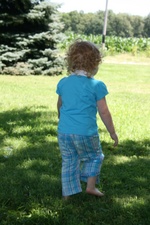 Enlarge photo 41