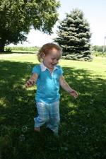 Enlarge photo 33