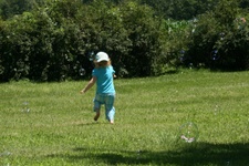 Enlarge photo 19