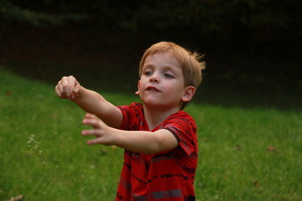 Enlarge photo 12