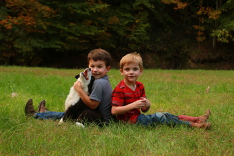 Enlarge photo 19