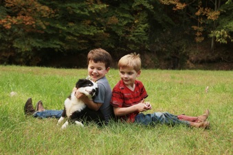 Enlarge photo 20