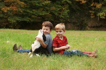 Enlarge photo 21