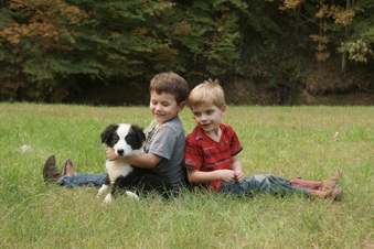 Enlarge photo 24