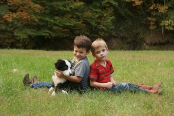 Enlarge photo 25