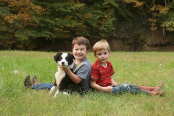 Enlarge photo 26