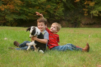 Enlarge photo 27