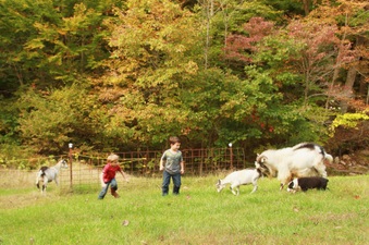 Enlarge photo 28