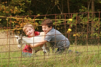 Enlarge photo 30