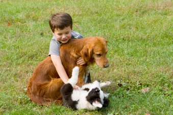 Enlarge photo 40