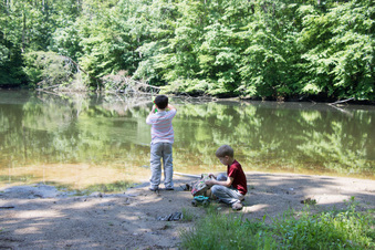 Enlarge photo 157