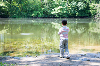 Enlarge photo 160