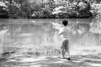 Enlarge photo 161