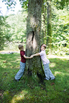Enlarge photo 184