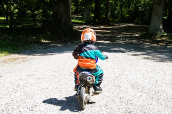 Enlarge photo 208
