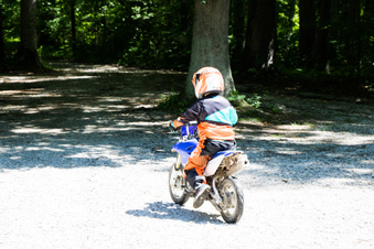Enlarge photo 226