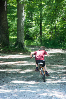 Enlarge photo 229