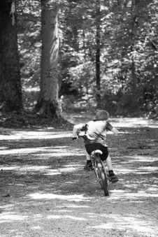 Enlarge photo 230