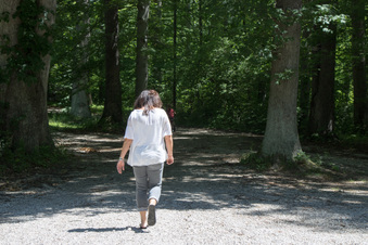 Enlarge photo 231