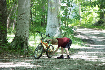 Enlarge photo 234