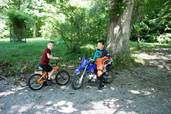 Enlarge photo 262