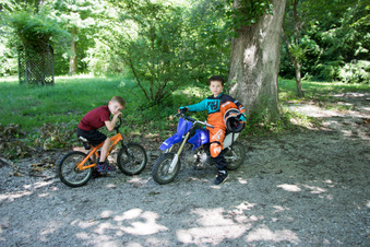 Enlarge photo 263