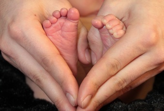 Enlarge photo 74