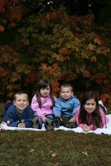 Enlarge photo 237