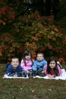 Enlarge photo 235