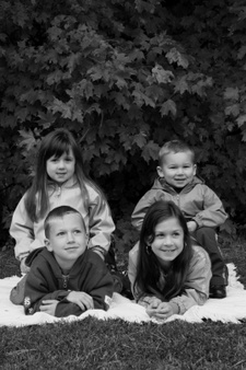 Enlarge photo 229