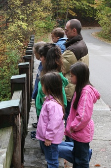 Enlarge photo 211