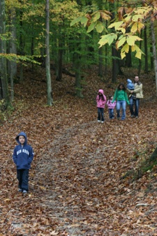 Enlarge photo 208