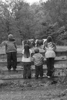 Enlarge photo 180