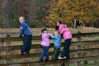 Enlarge photo 175