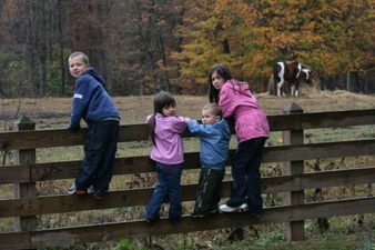 Enlarge photo 172