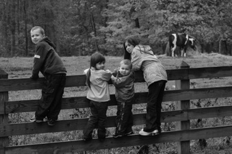 Enlarge photo 173